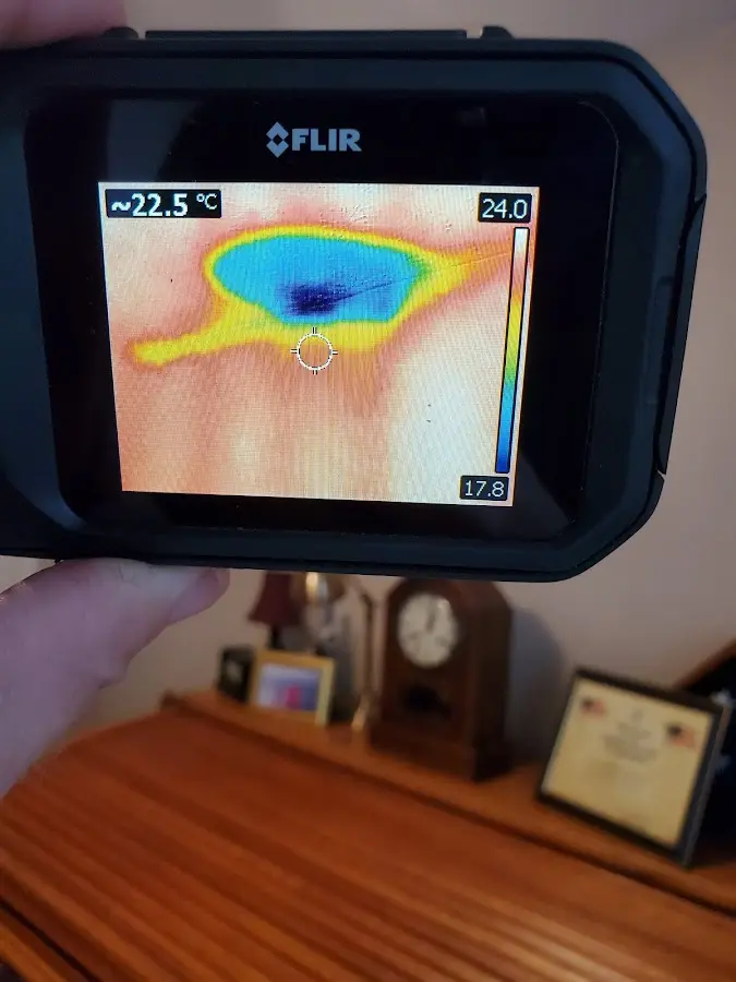 Thermal imaging inspection for water damage in Crystal Lake