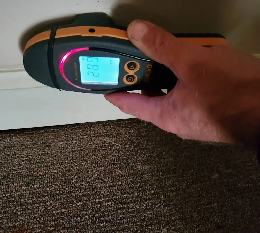Moisture detection at baseboard during Sewage Cleanup & Sanitation in Crystal Lake